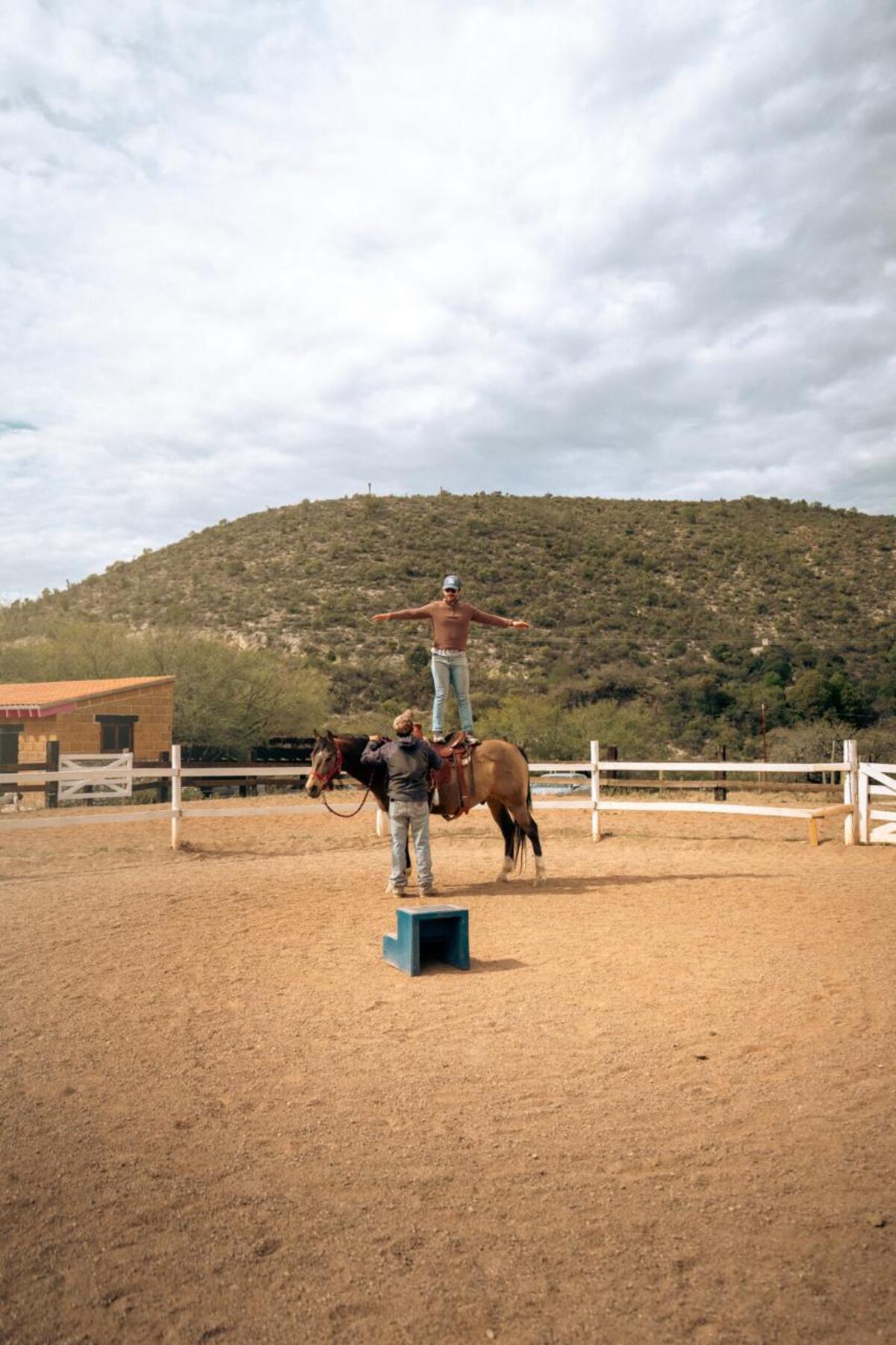 Horse Coaching