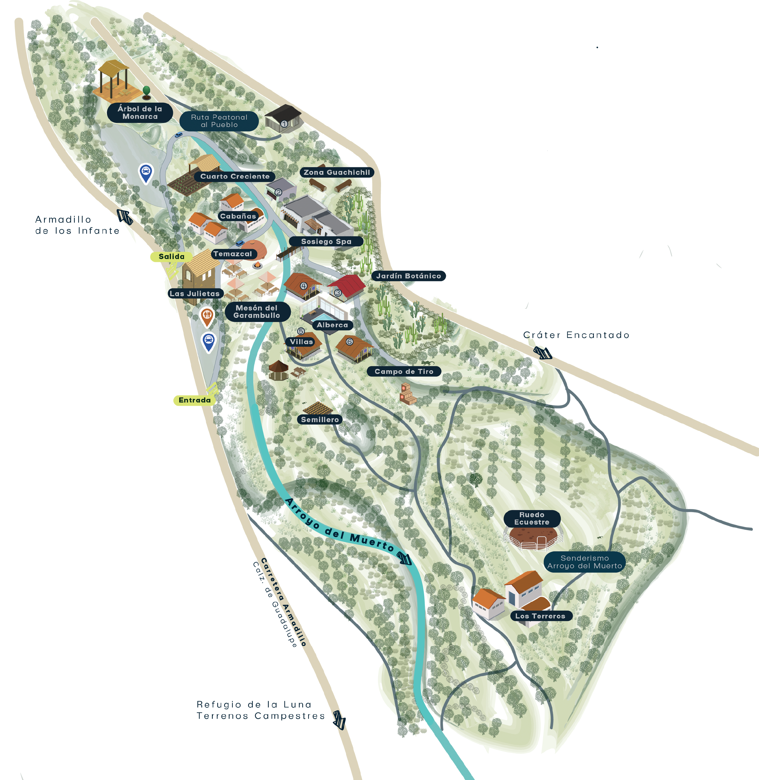 Mapa Armadillo Mágico